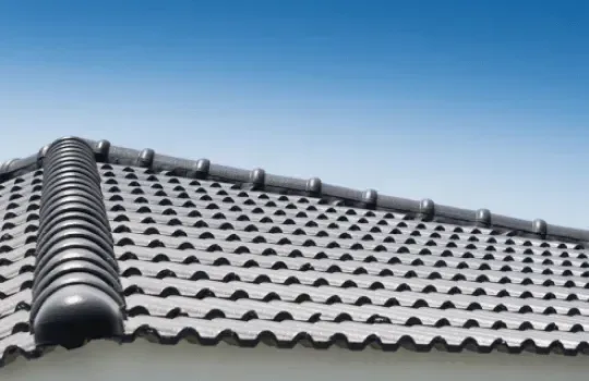 Roof painting